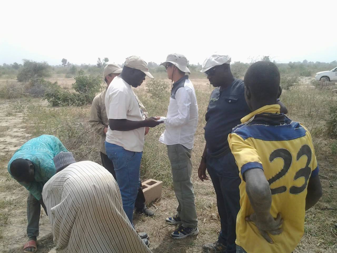Geologists and investors inspecting field samples