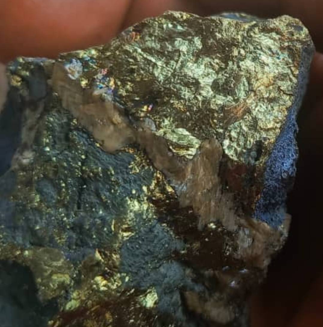 Rich gold mineralized ore specimen